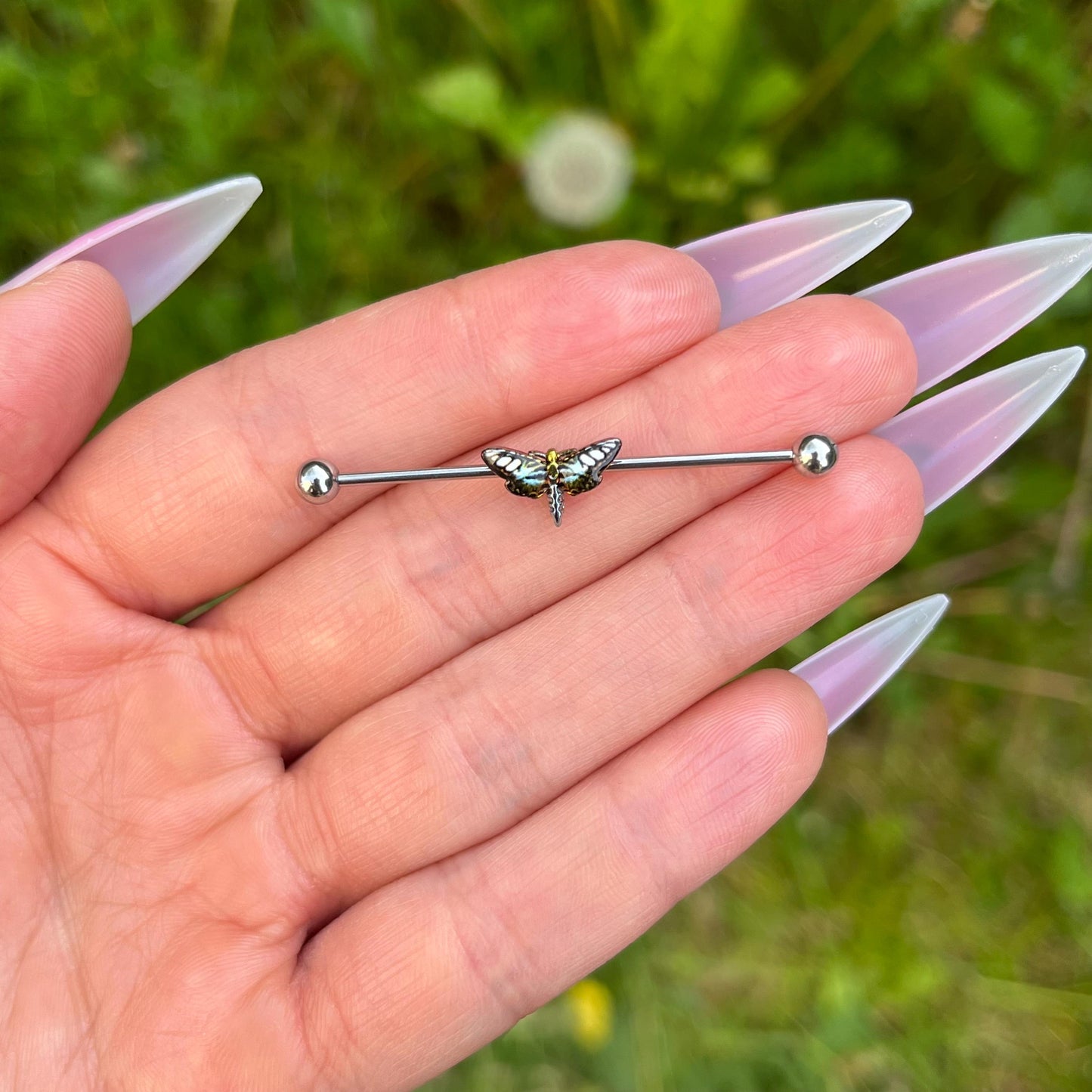 Moth Industrial Barbell Piercing: Stainless Steel Butterfly Cartilage Jewellery, 38mm 14G/16G