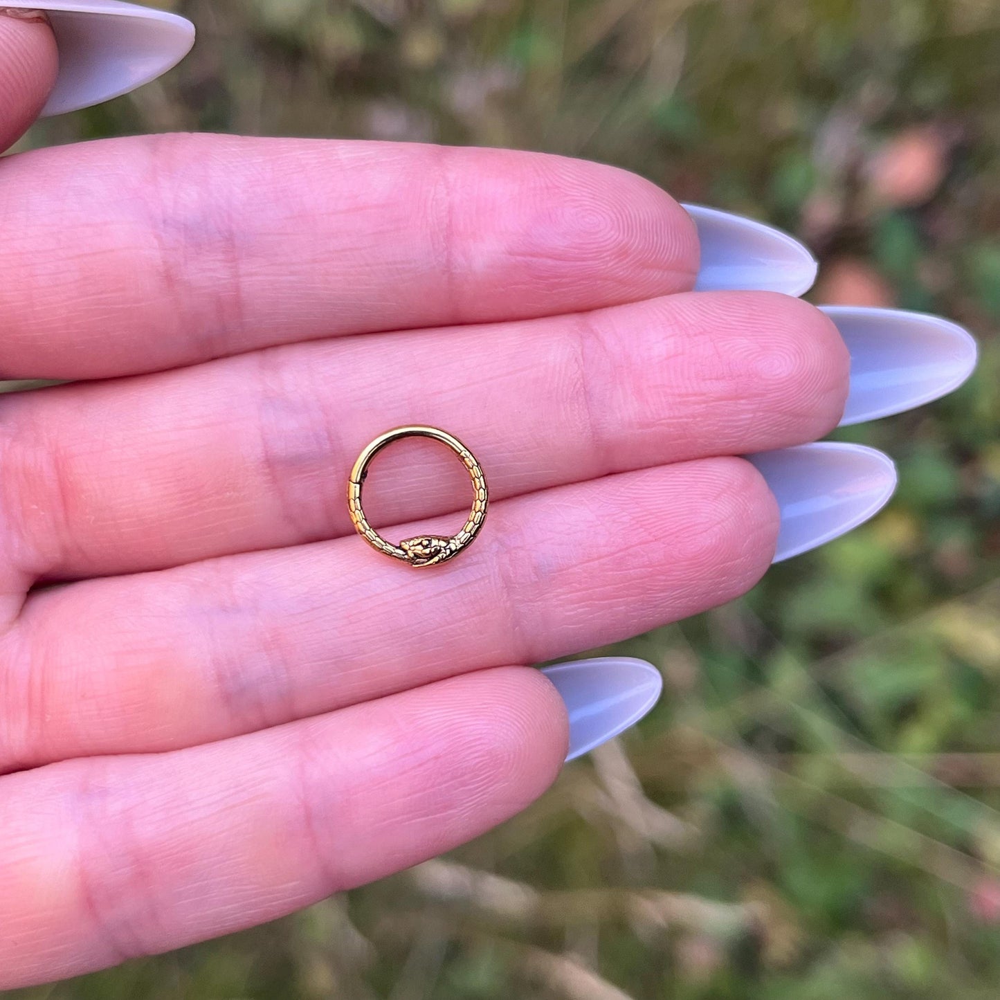 Ouroboros Snake Septum Ring: Surgical Steel 16G (1.2mm) 8mm