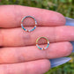 Multi Colour Crystal Septum Ring: Titanium Hinged Clicker, 16G 8mm/10mm